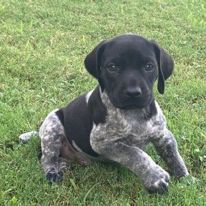 Meet your Posher, Aj